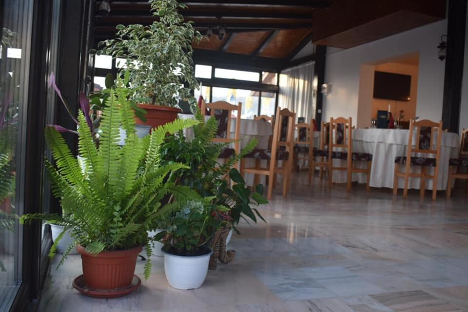 Vila Teju Valeni - B&B