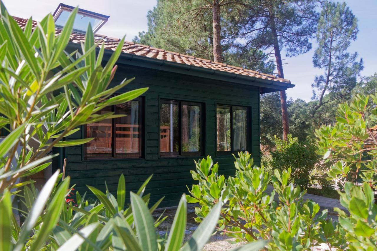 Villa sous les pins de Moliets - B&B
