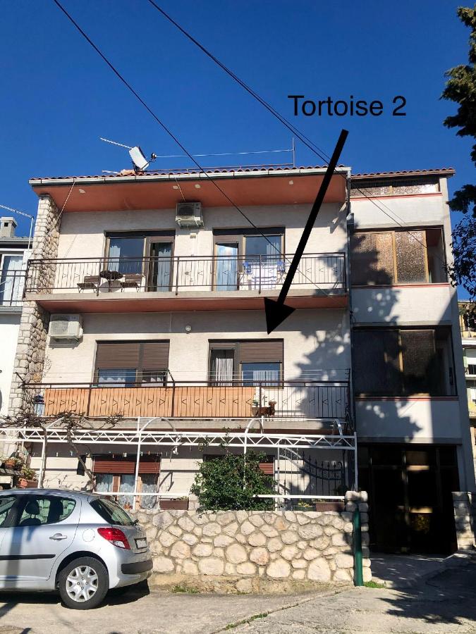 Tortoise 2 - B&B