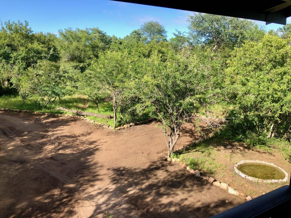 Luxury Treetop Lodge - B&B Marloth Park