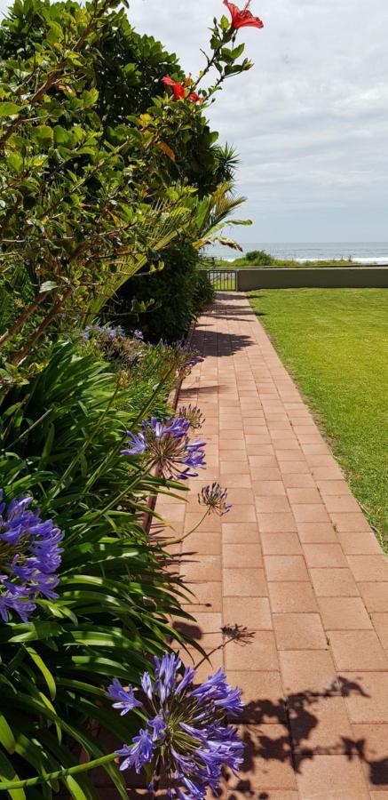 Beachfront Bliss - B&B