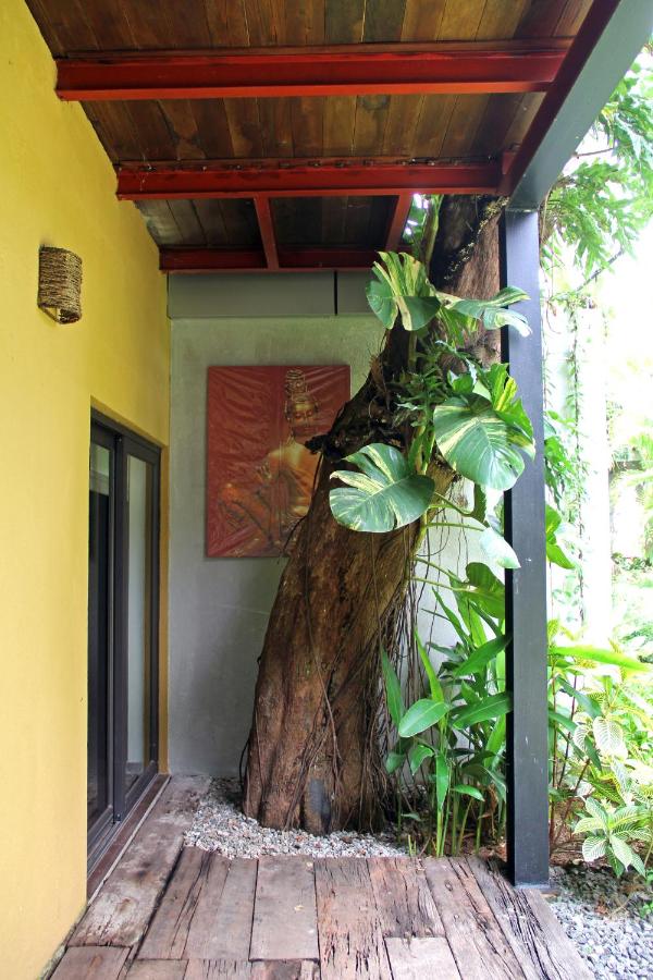 Standard  Double Room
