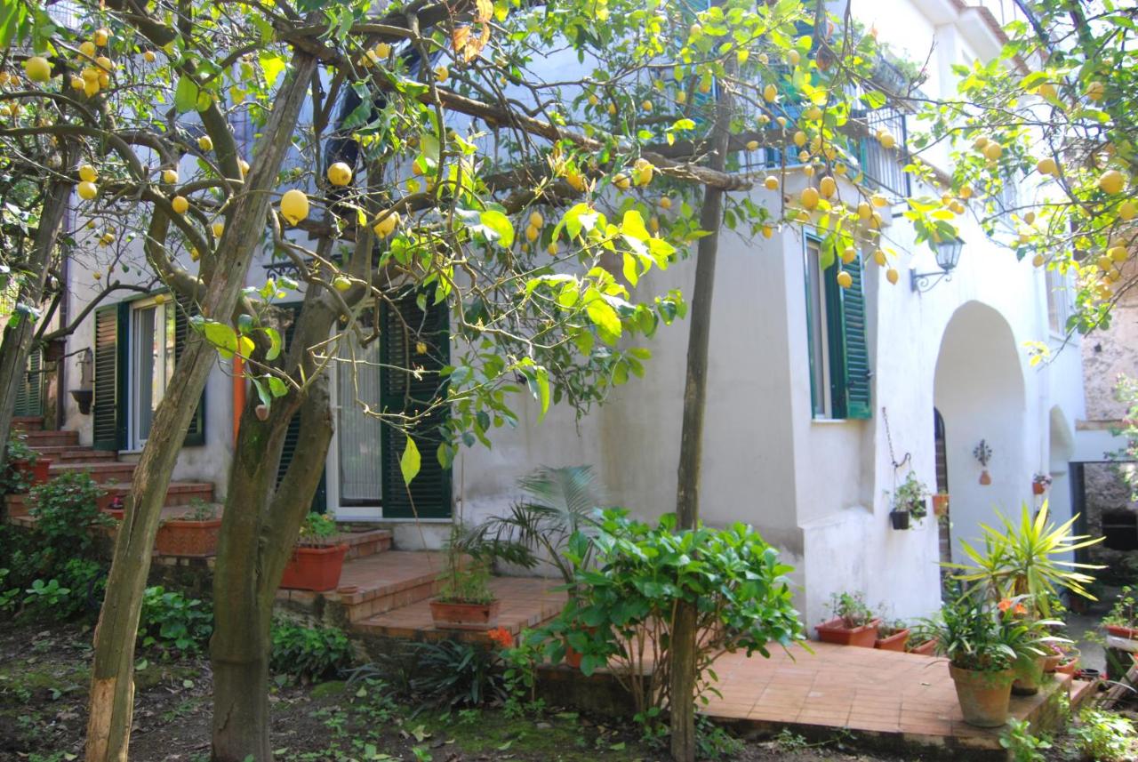 Sorrento Studios Lemons Hill - B&B Sorrento