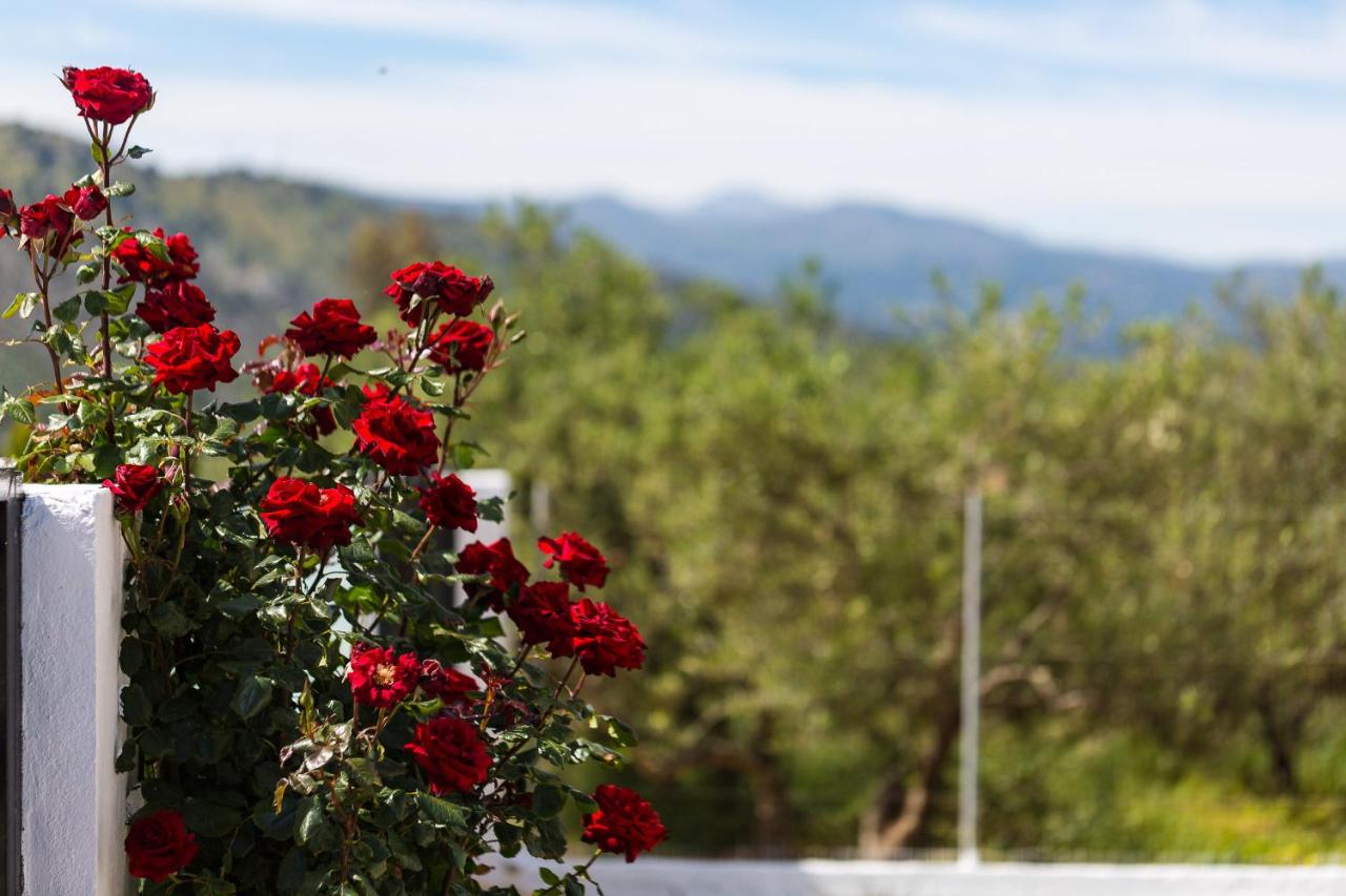 Villa Kounoupas, comfy villa with swimming pool up to 8 guests! - B&B Lamerianá