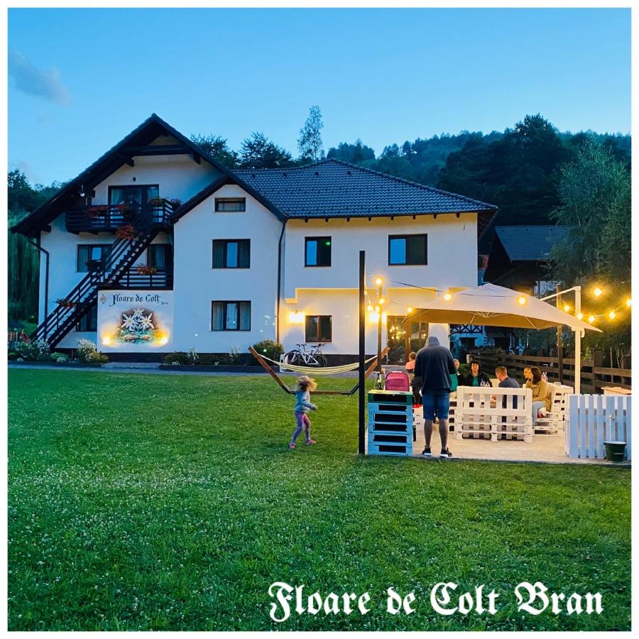 Floare de Colț-Bran - B&B