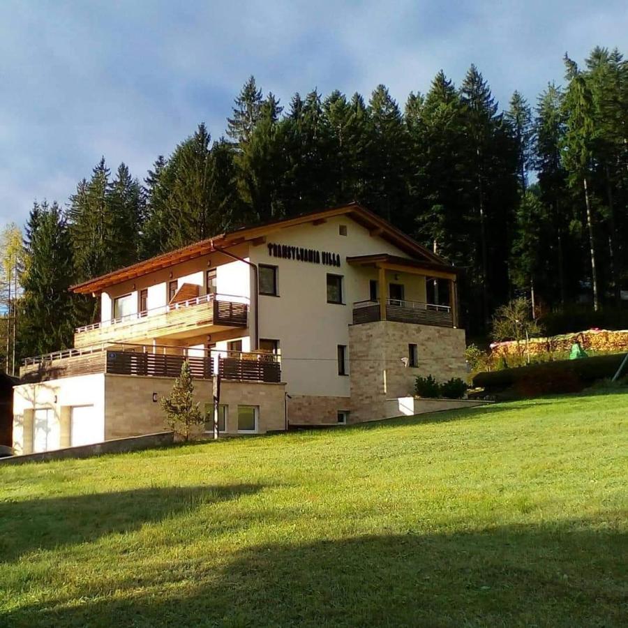 B&B Gosau - Transylvania Villa & Spa - Bed and Breakfast Gosau