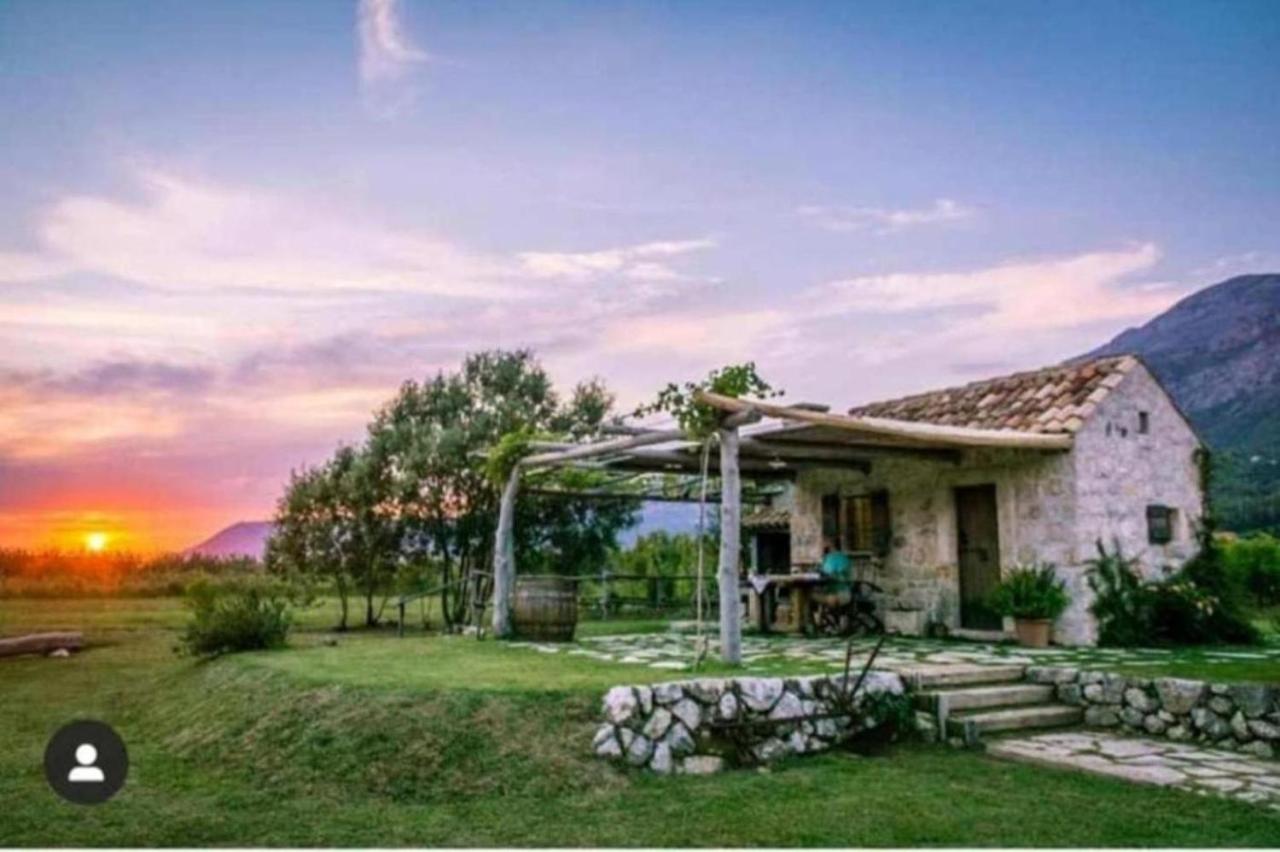 B&B Gruda - Vineyard Eco Cottage near Dubrovnik - Bed and Breakfast Gruda