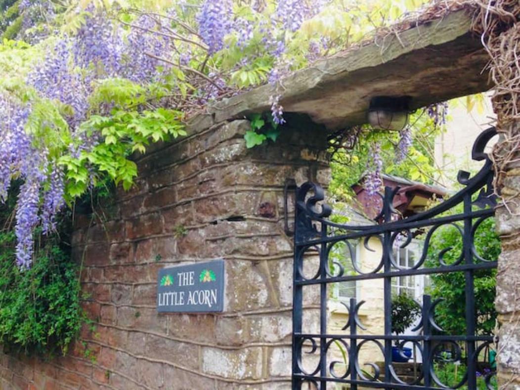 The Little Acorn - B&B