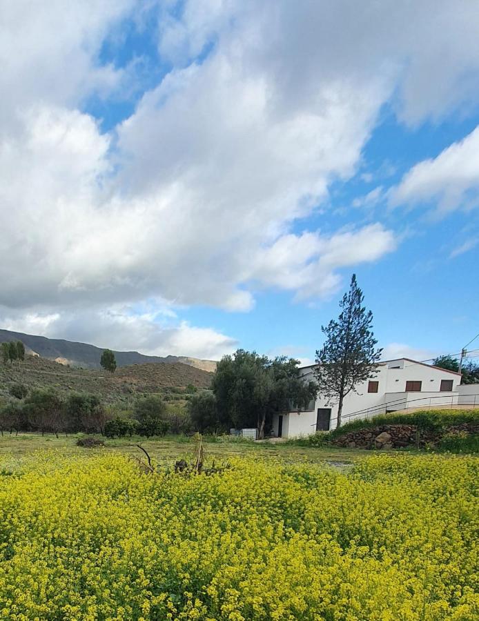 Casa Hoya Grande - B&B