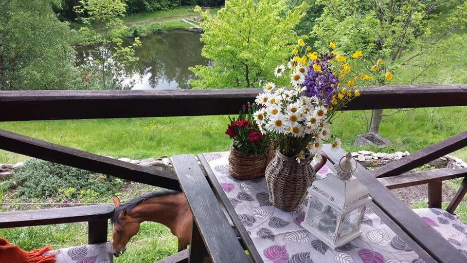 Agroturystyka Pod Świerkiem - B&B
