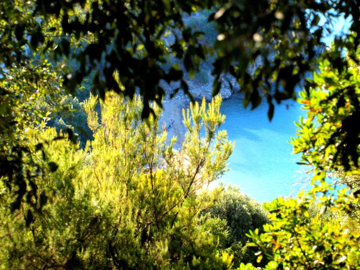 Marianni Studios - B&B Olympiáda