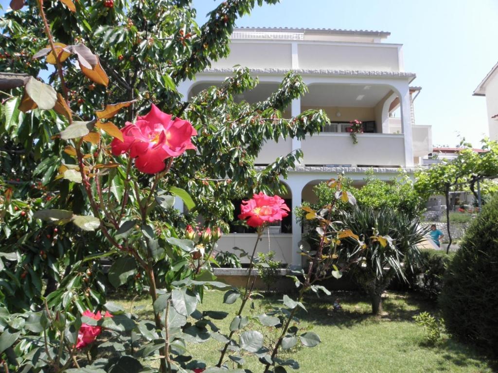 Apartments Lopar (893) - B&B