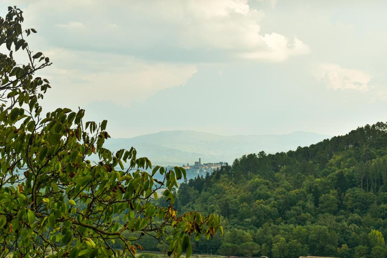 Anna's Apartment - B&B Castel San Niccolò