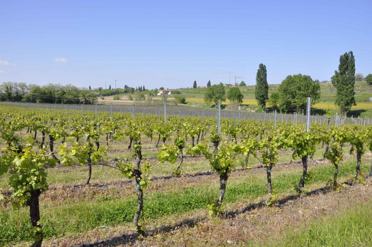 Apartment in Lazise - Gardasee 38604 - Chambres d’hôtes Lazise