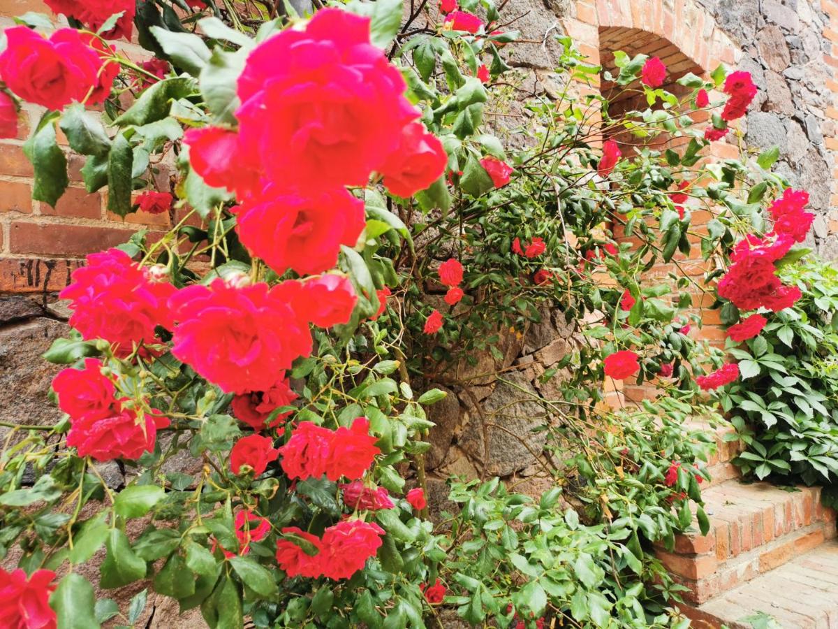 Brennerei Haselberg - Bed and Breakfast Wriezen