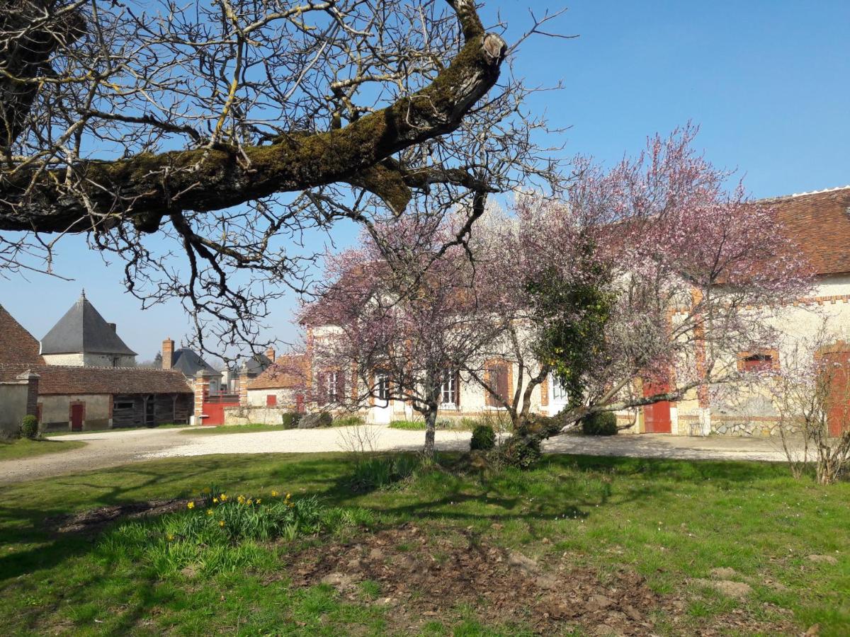 gîte du château - B&B
