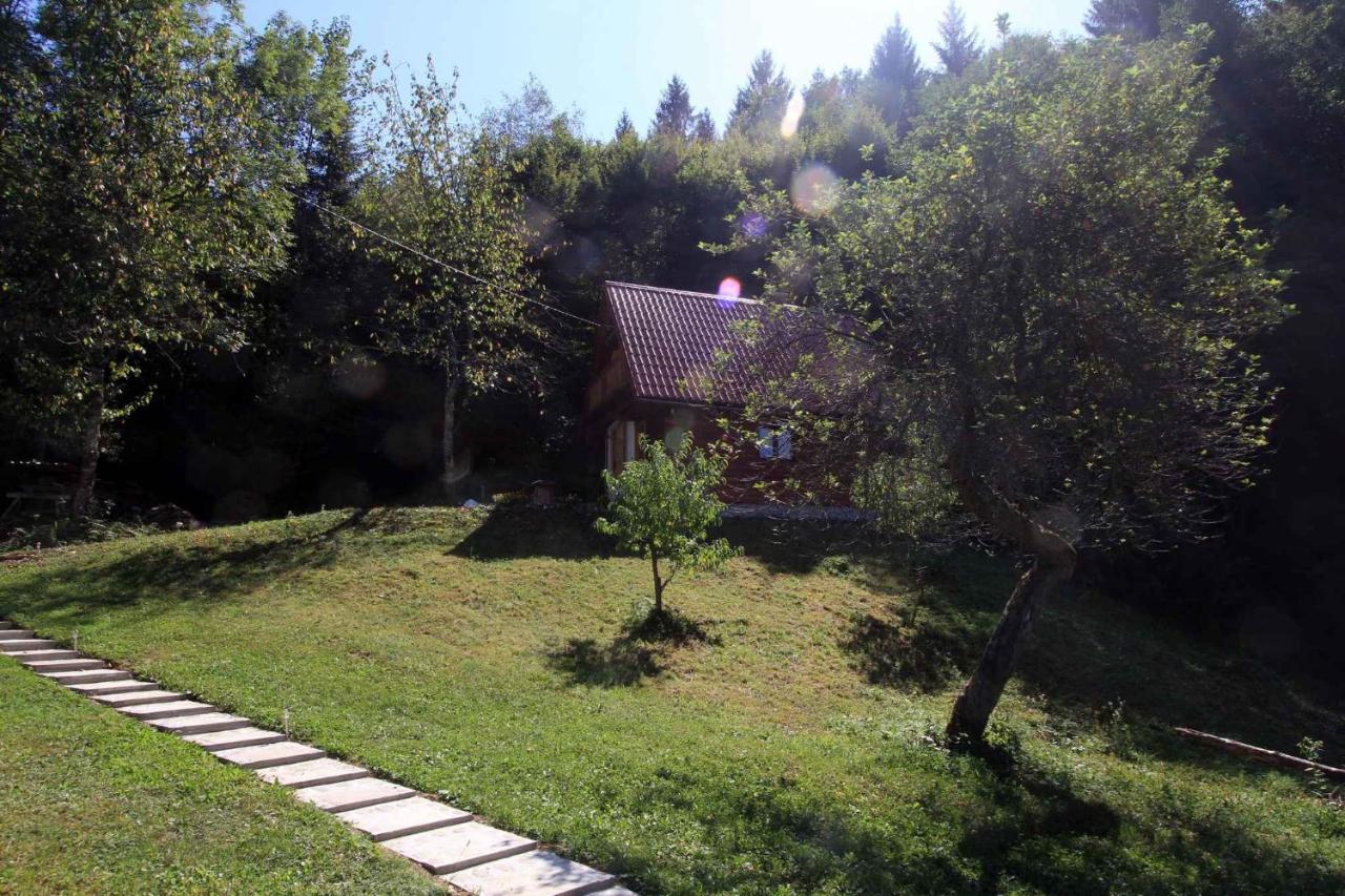 Holiday home in Golik - Gorski Kotar 14249 - B&B Zagolik