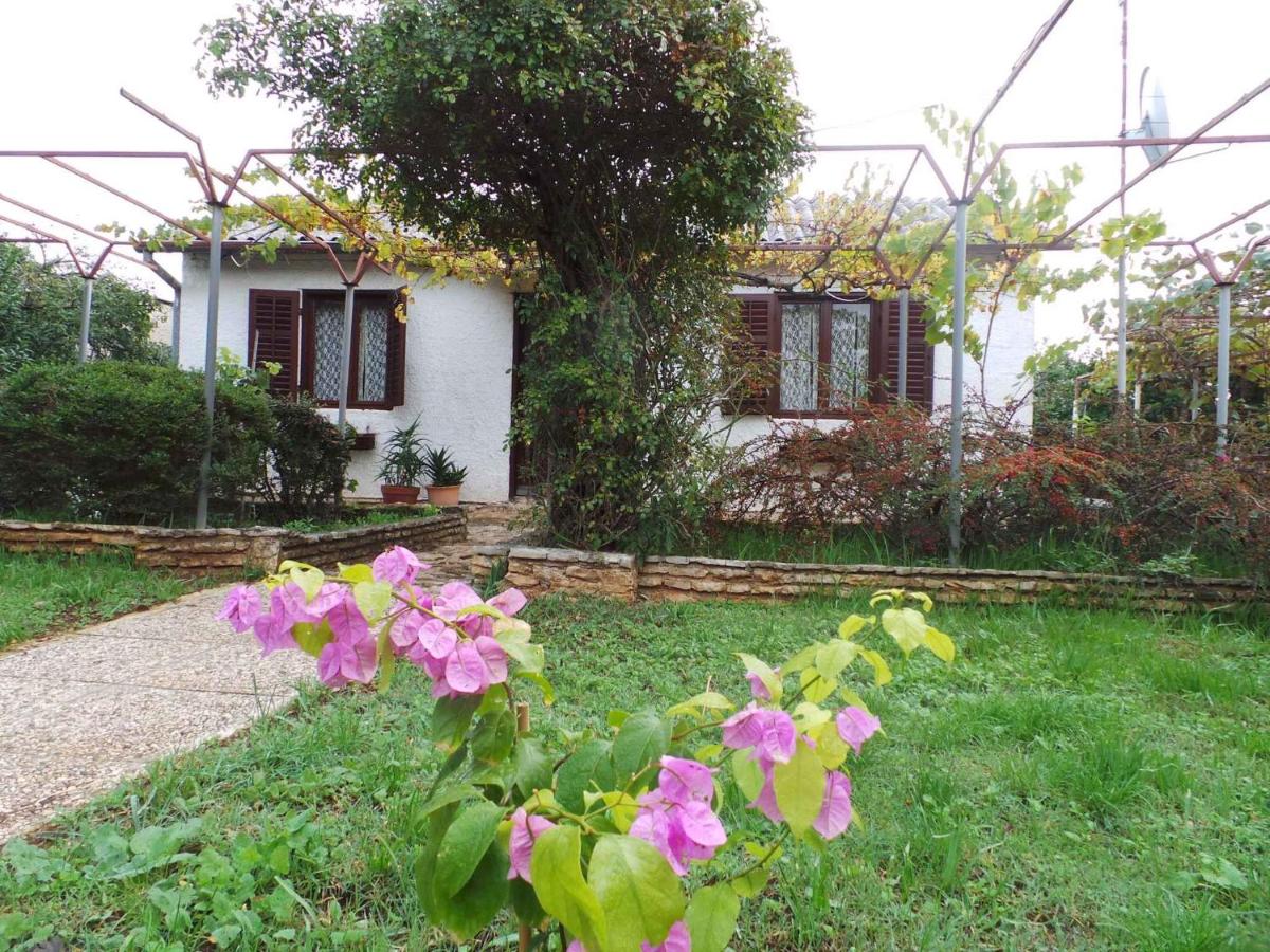 Holiday home in Fazana/Istrien 11242 - Ferienwohnung
