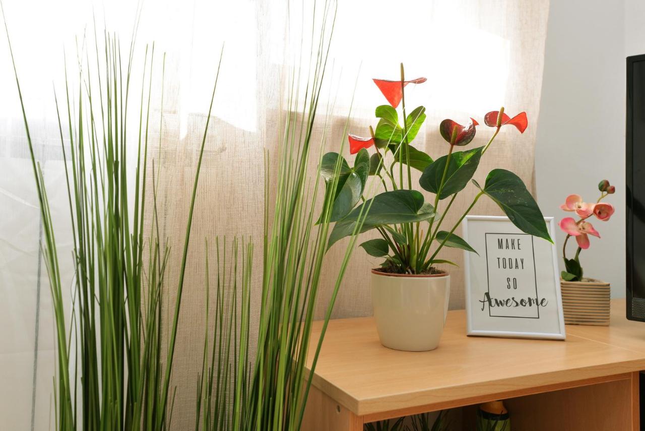 Apartments Divna - B&B Betina