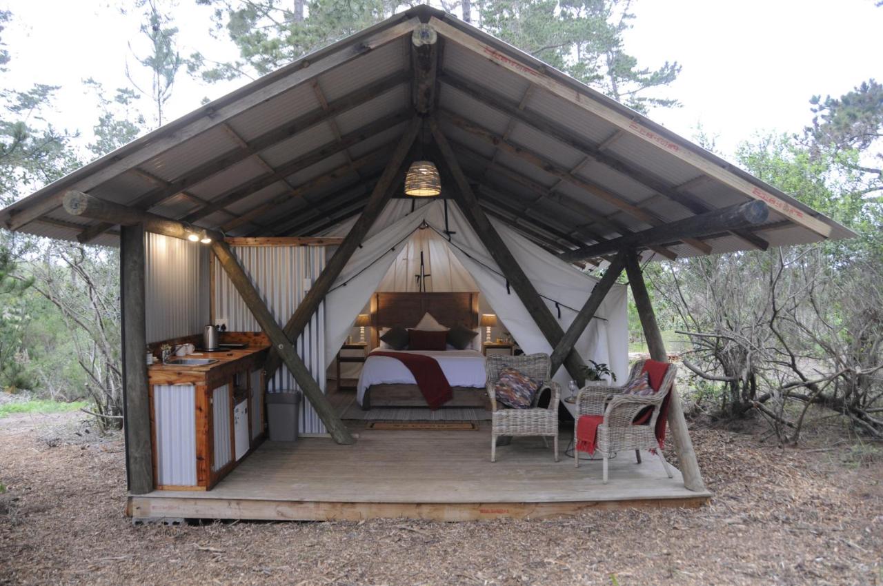 B&B Wilderness - Heritage Glamping, Woodlands tent - Bed and Breakfast Wilderness