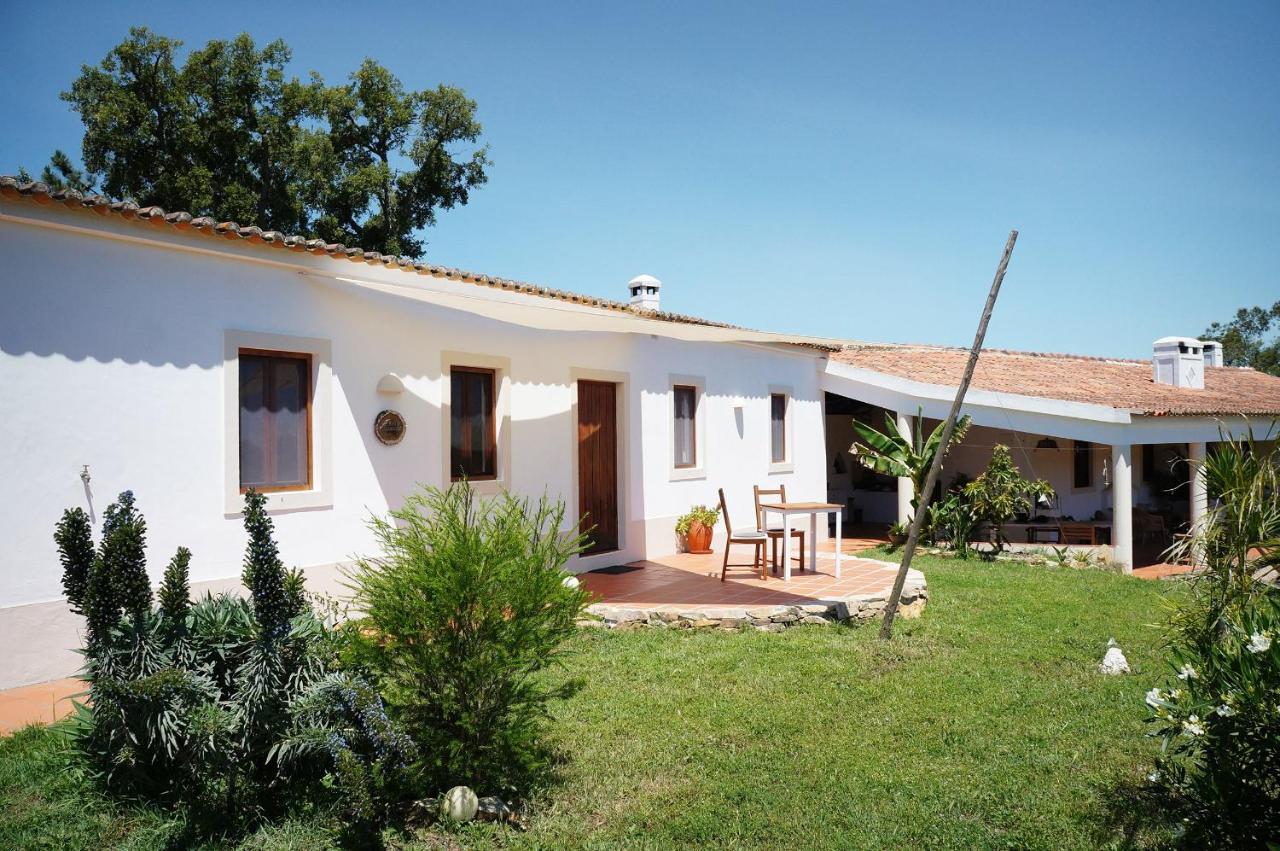 Studio with Terrace