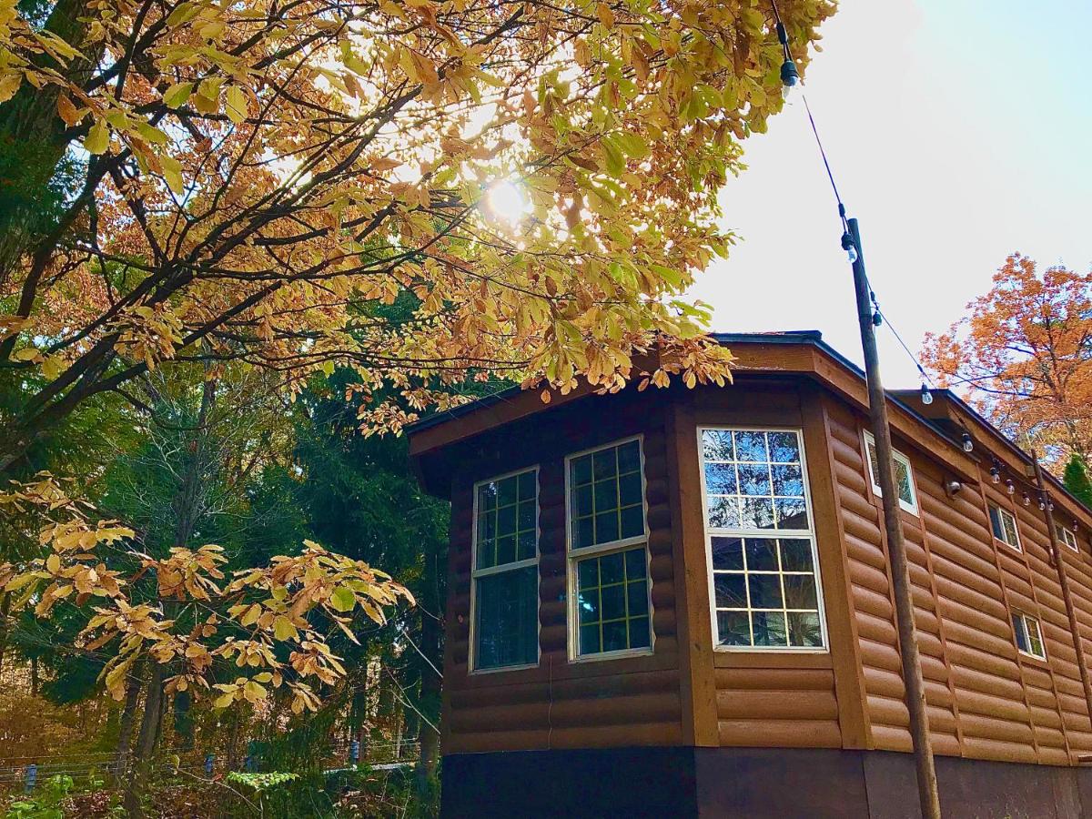 Standard Cabin with Large Bedroom