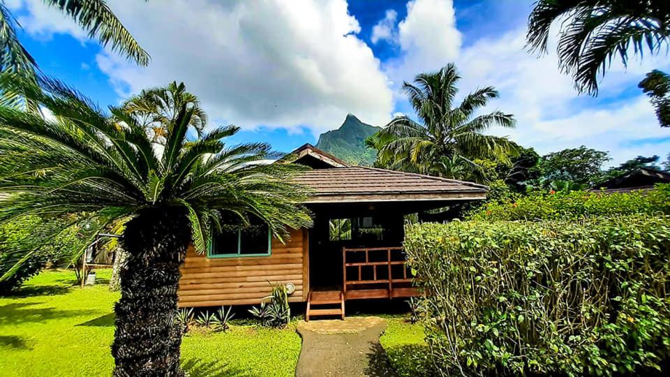 Standaard Bungalow
