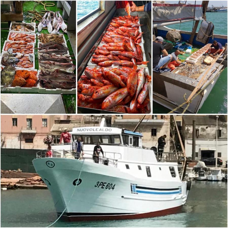 La casa del pescatore - B&B