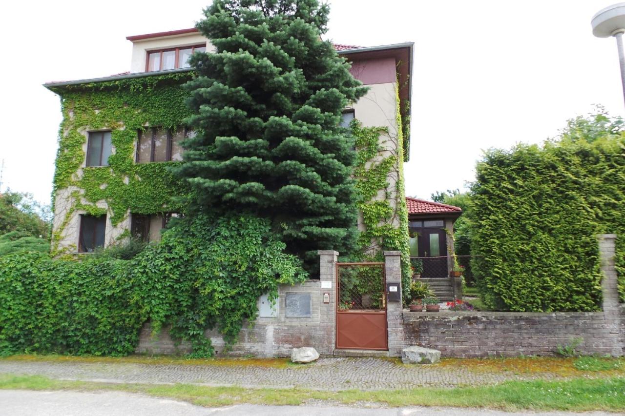 Penzion Sport - Chambres d’hôtes Třeboň