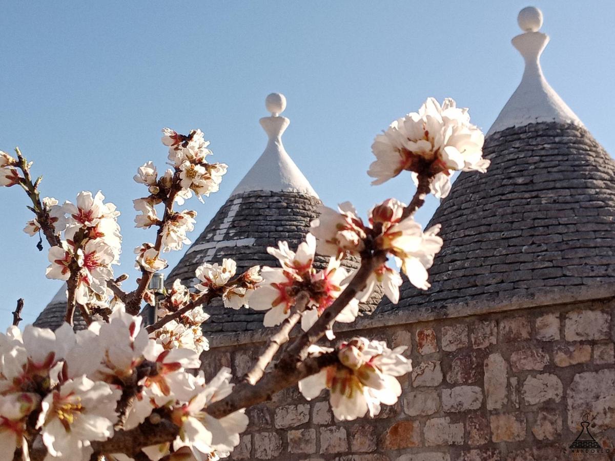Il Mandorlo - Ferienwohnung Ostuni