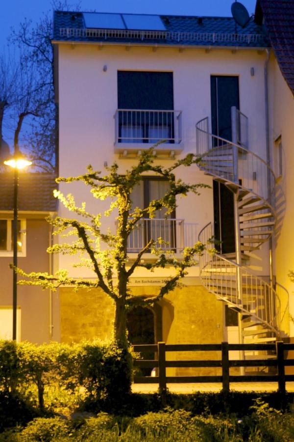 Alte Stadtmauer - Apartment - B&B