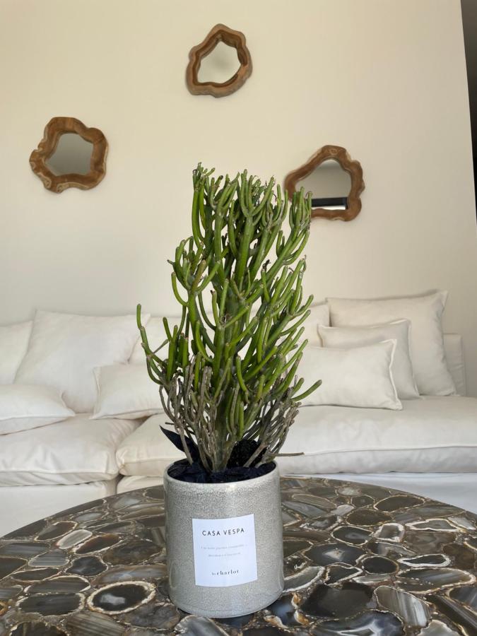 Casaceccu suite Vespa - B&B Monticello