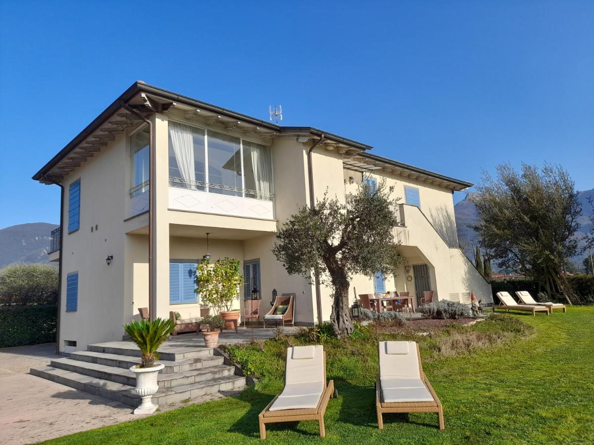 B&B Camaiore - Villa la provenzale - Bed and Breakfast Camaiore