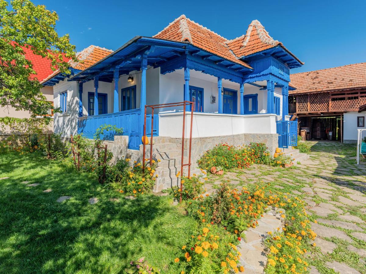 B&B Schiulești - Casa de vacanta traditionala romaneasca - Bed and Breakfast Schiulești