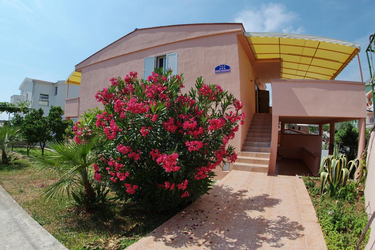 B&B Scurta - Vila Montenegro - Bed and Breakfast Scurta