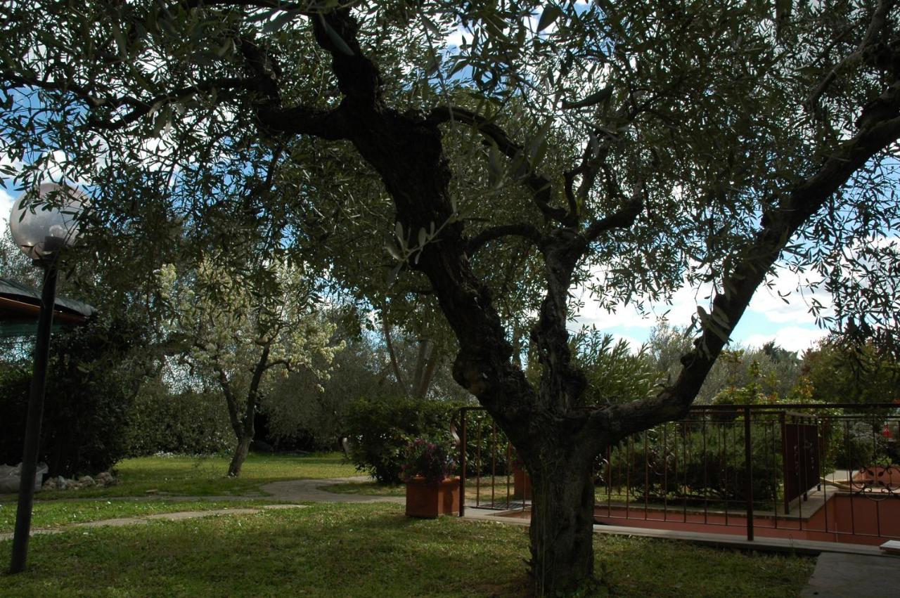 Casa Maremma - B&B