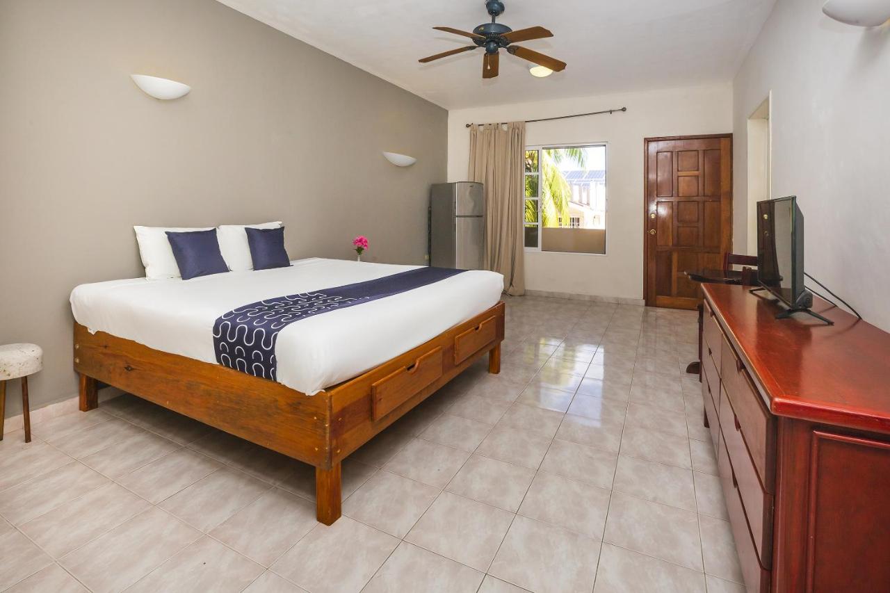 Habitación con cama extragrande.