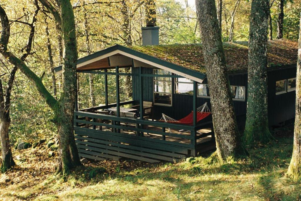 Hardanger Feriesenter Neshagen - B&B