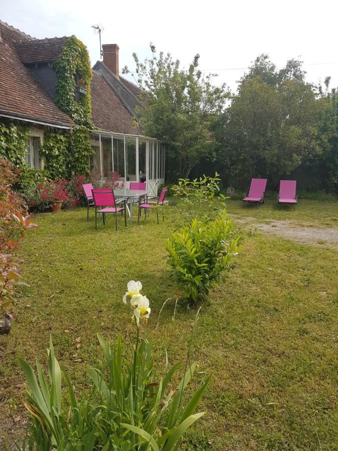 Gîte" Peau d'Ane" Zoo Parc Beauval Châteaux de la Loire 4 personnes très bien situé - B&B