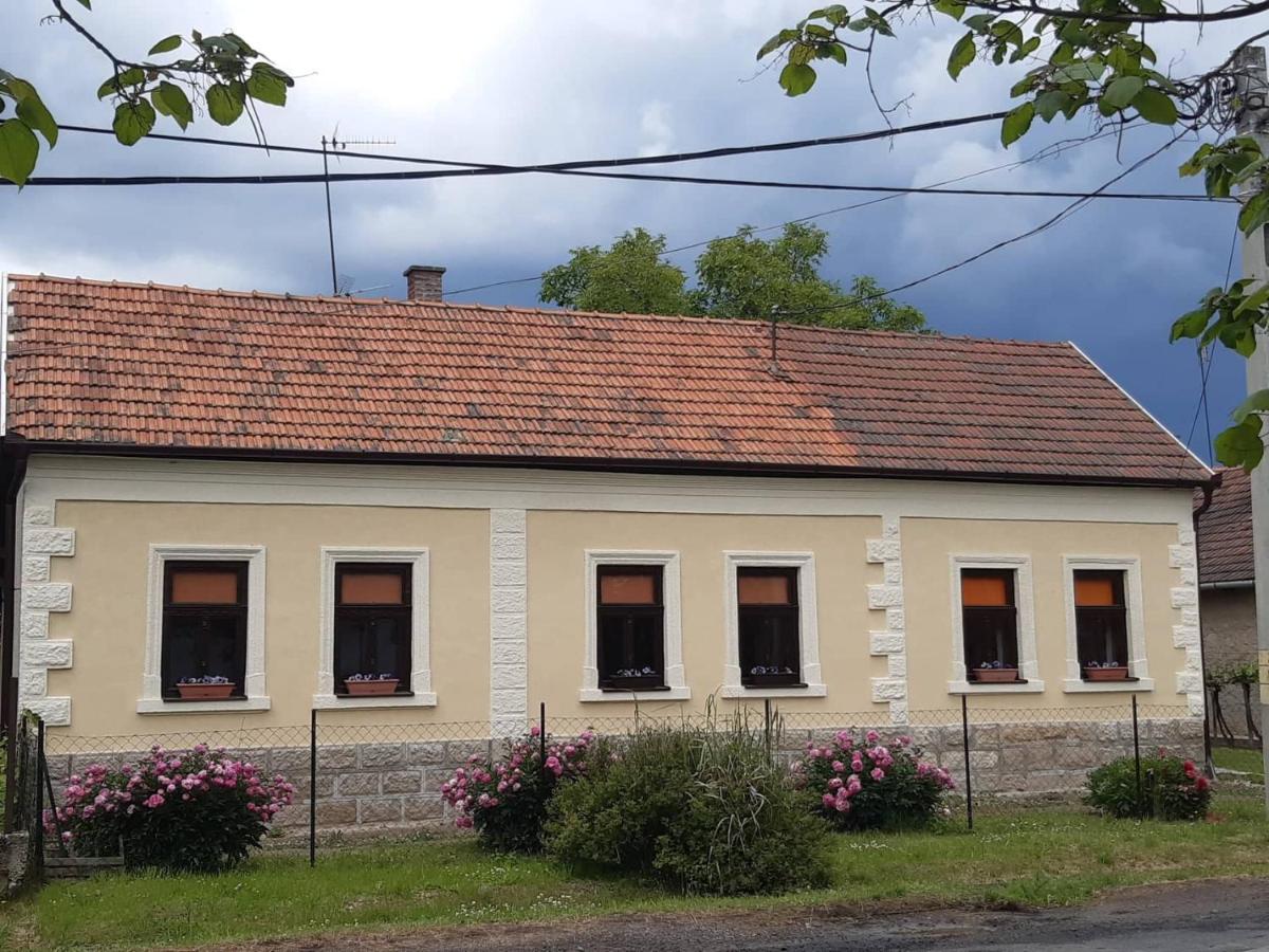 Szőlőskert Vendégház, Erdőbénye - B&B