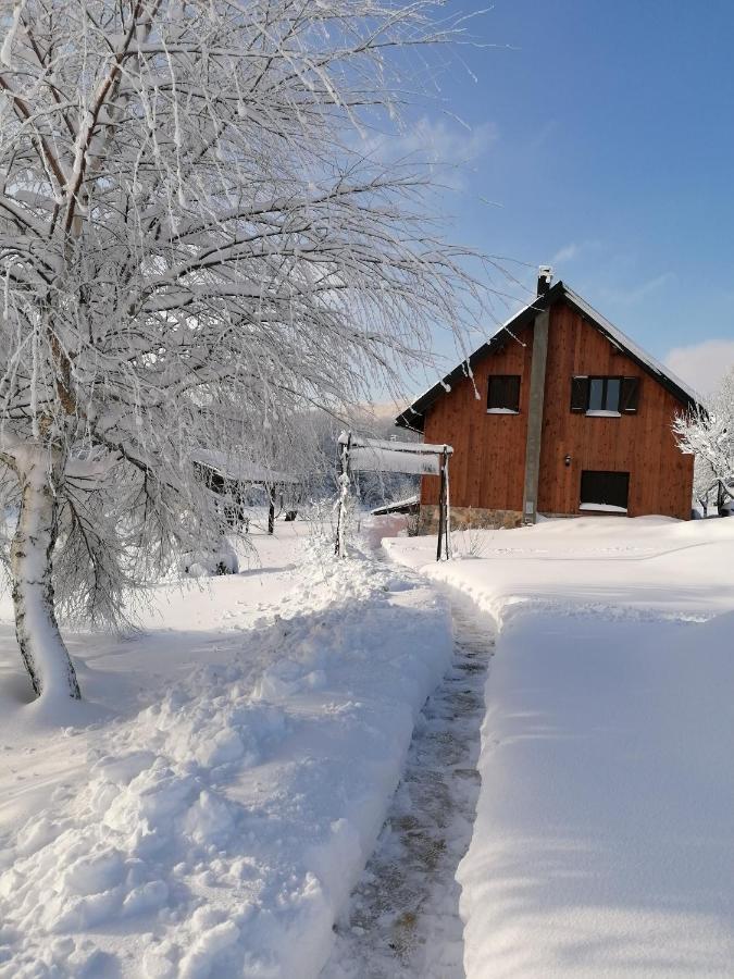 House Izvor - B&B