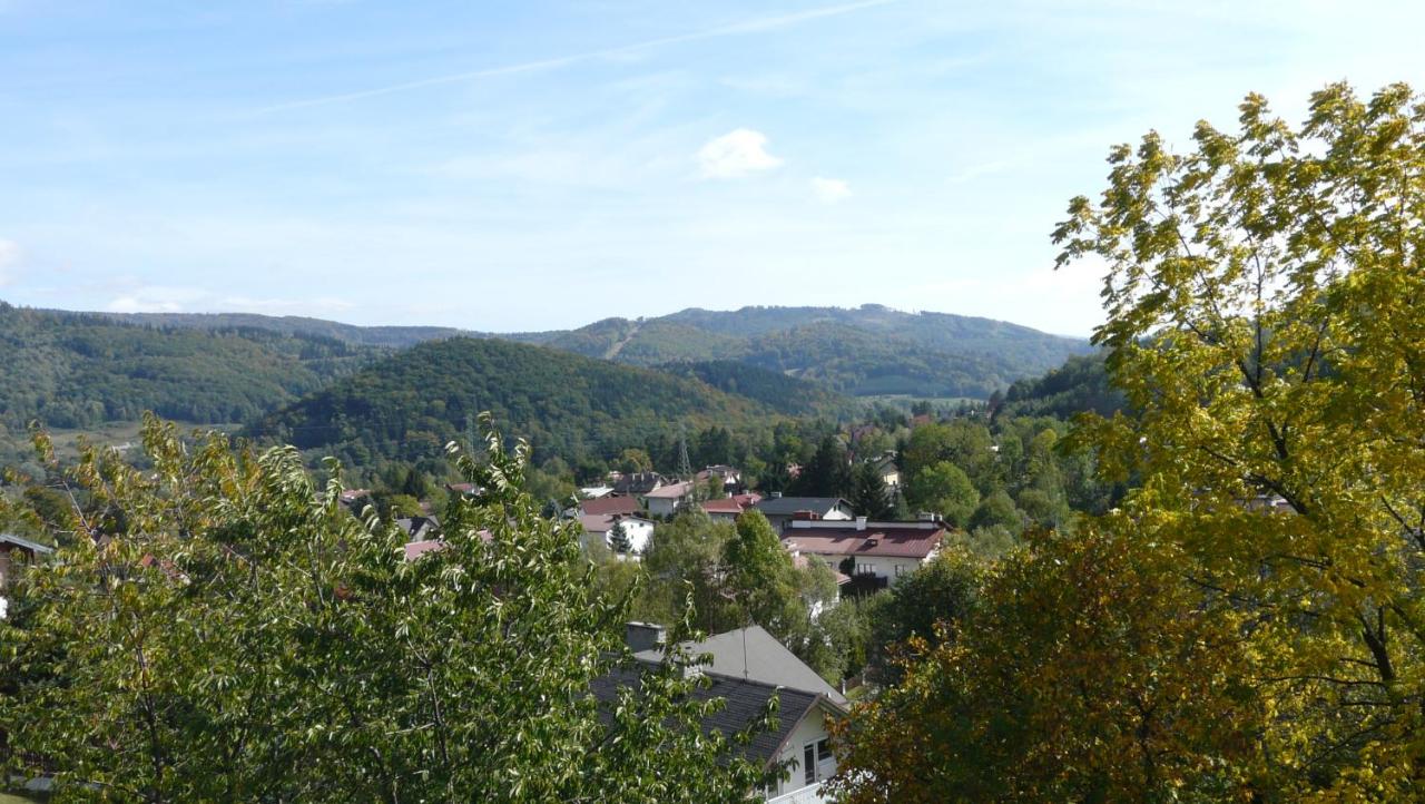 Bażancia Chatka - B&B Ustroń