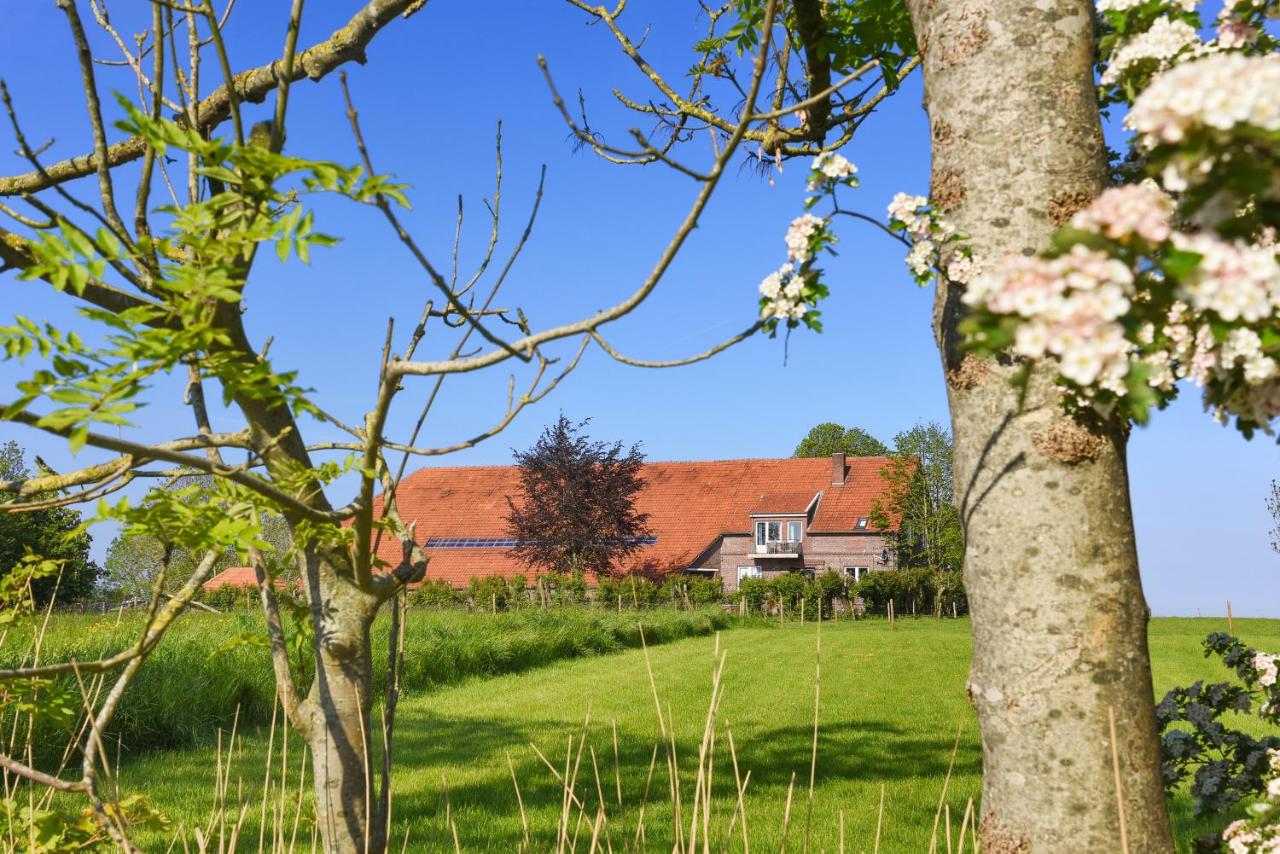 Ferienwohnungen auf dem Ferienhof an der Schafweide - B&B Werdum