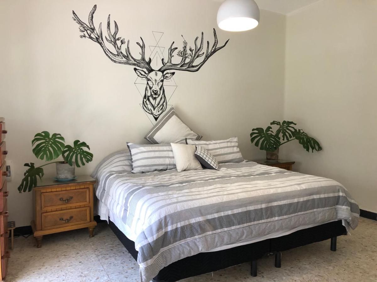 King Room with Garden View