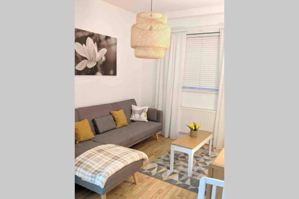 Cozy Hidden Gem in the Bay 10 Mins Walk from WMC With Parking - B&B