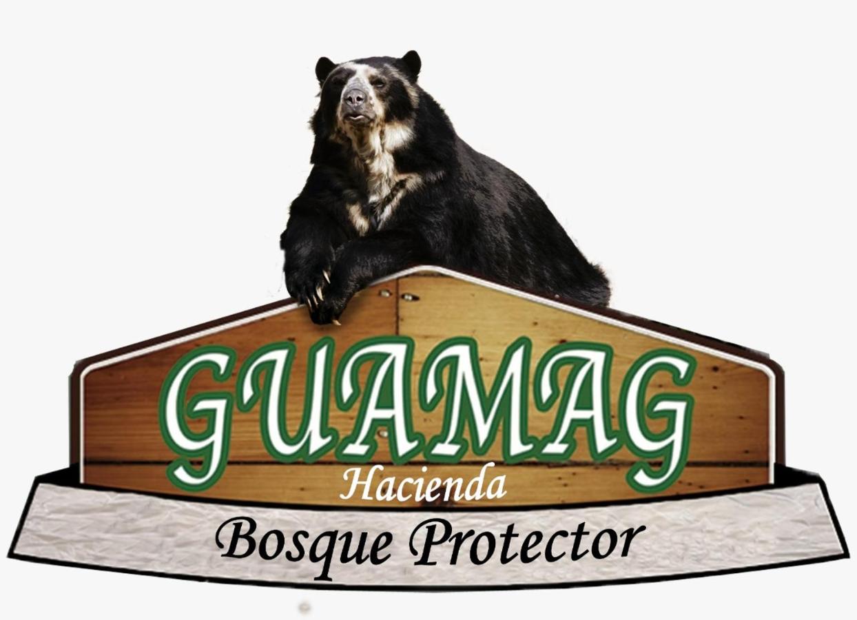 B&B Baños - Bosque Protector Hacienda Guamag - Bed and Breakfast Baños