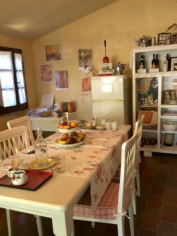 Poggio Etrusco sas di Sheldon Johns Pamela Kay - B&B Sant'Albino