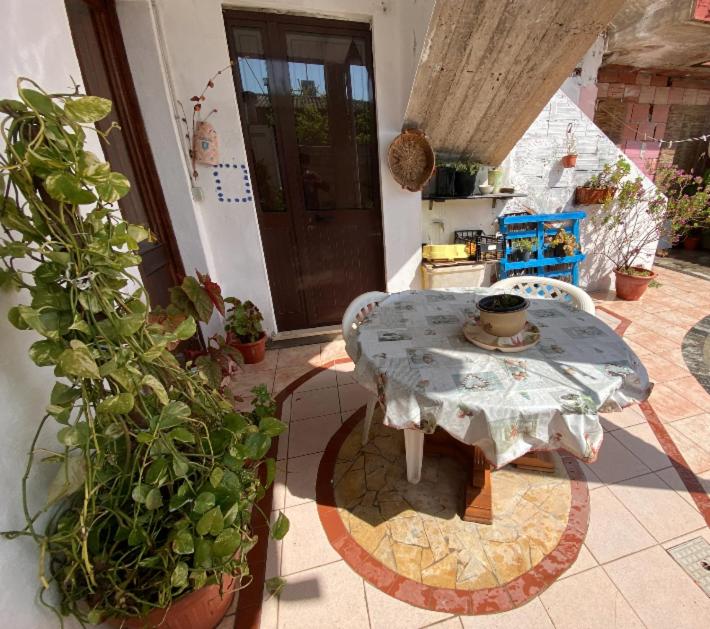 Shaka guest house - Ferienwohnung