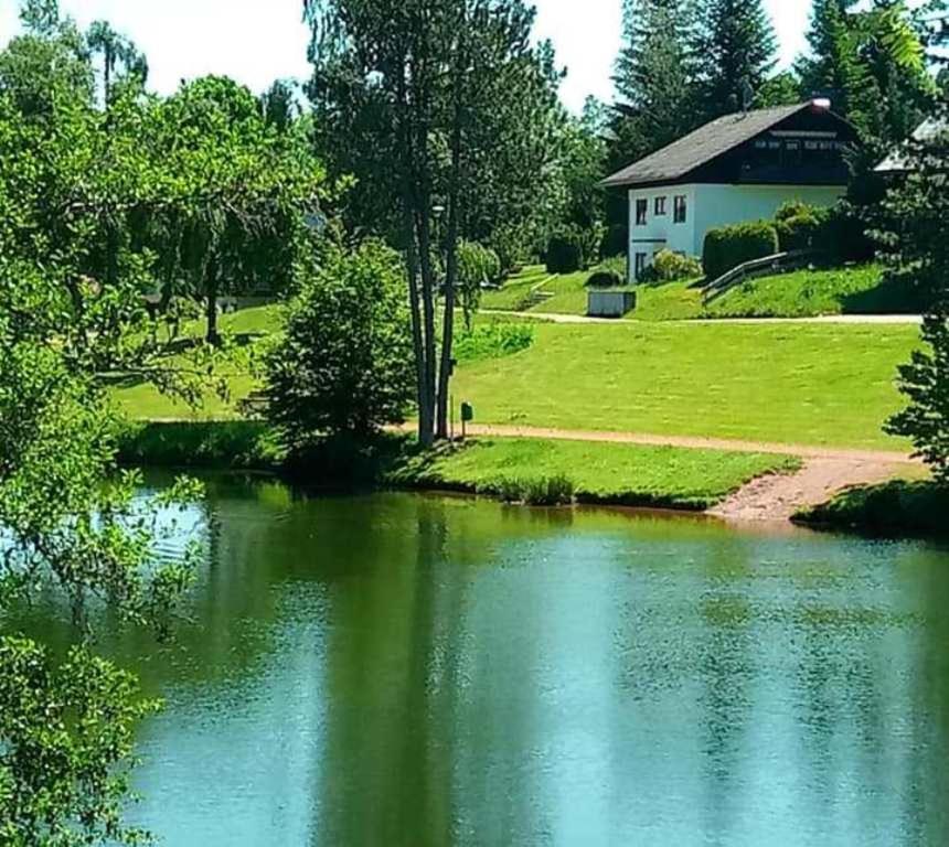 Ferienwohnungen Am Skilift - Ferienwohnung Herrischried