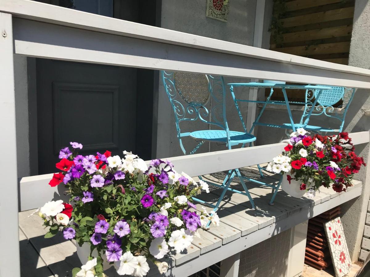 Cute & Cozy Studio Apt in Zichron Yaakov - B&B